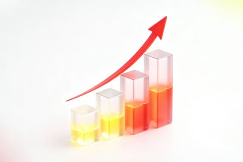 D Prime November 2025 Trading Volume Sees Market Cooling